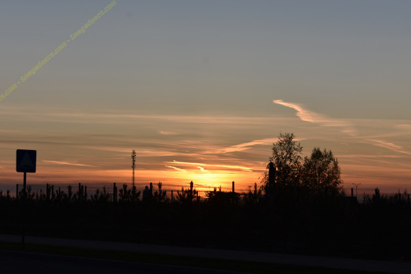 Evening  Sunset