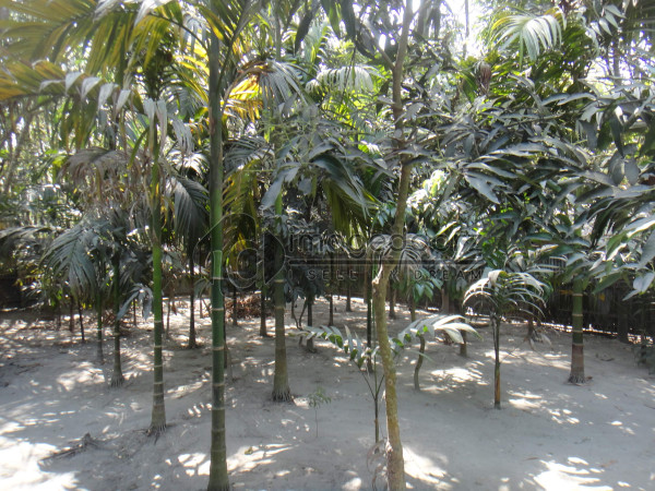 DSC01053