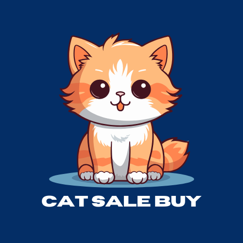 A perfect business plan for the Europe Market